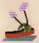 Stitched Orchids