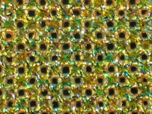 Alicia's Lace up close