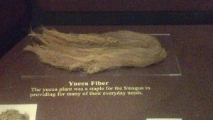 Yucca Fiber